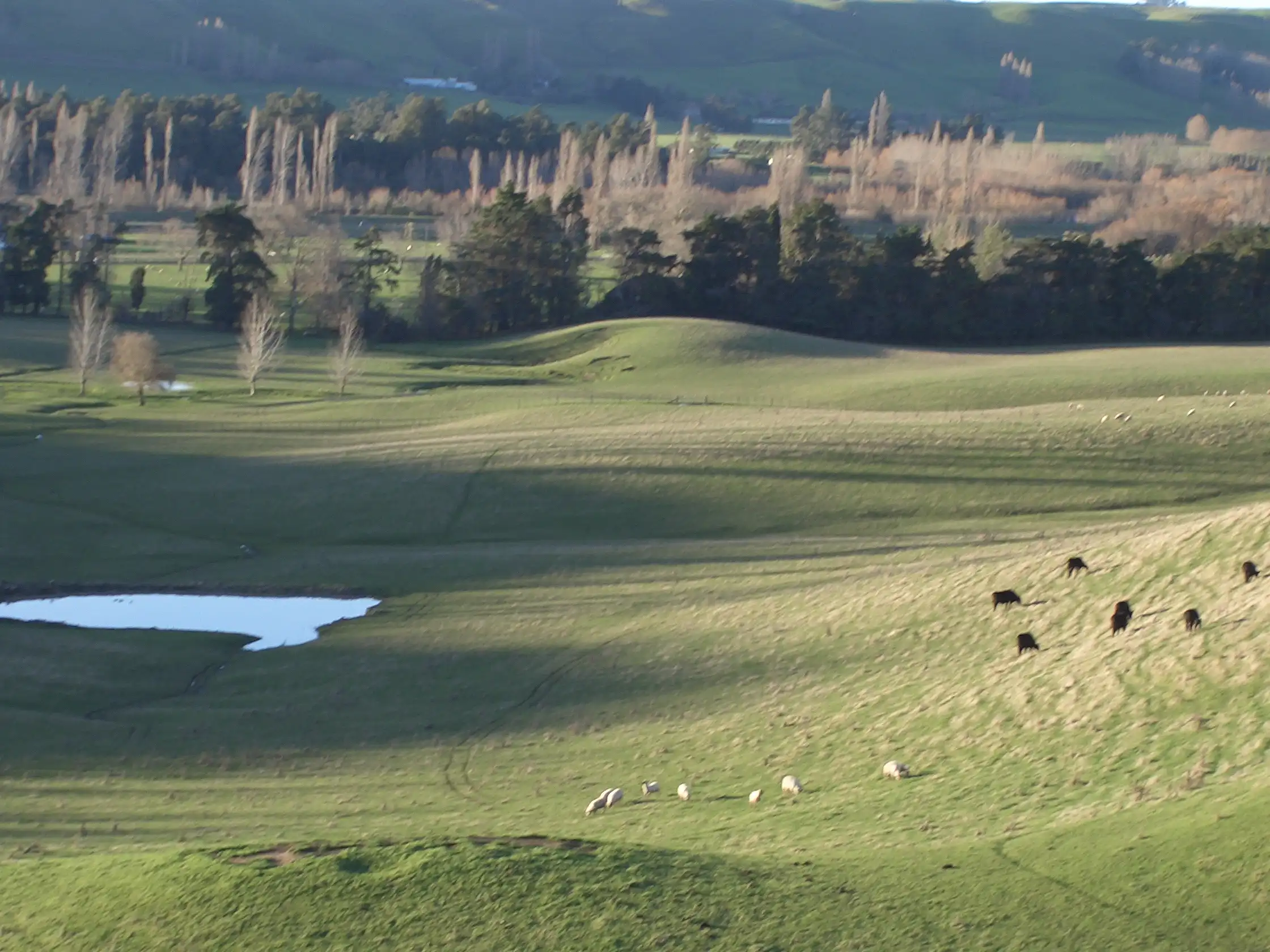 Hatuma Heights - Hatuma Road