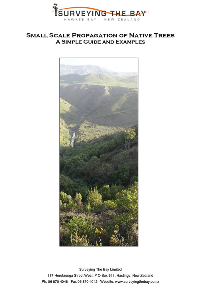 Propagation Guidelines cover - Surveying The Bay