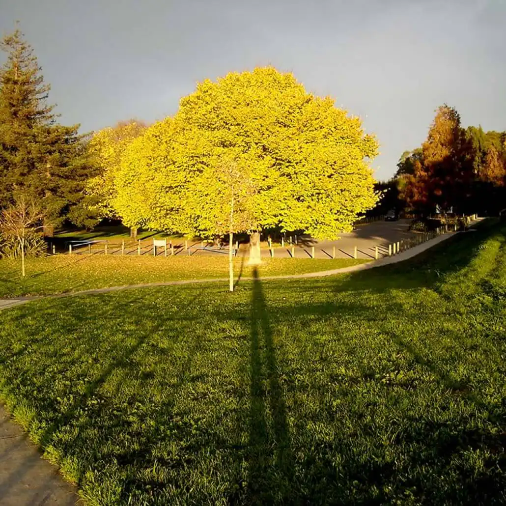 core values 01 - Surveying The Bay