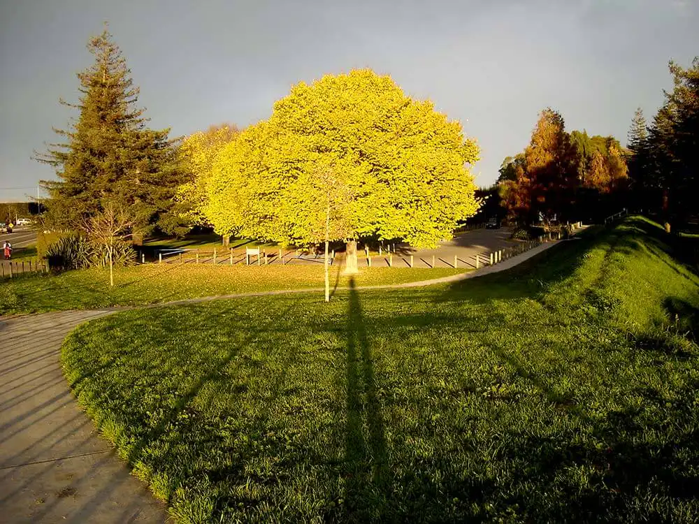 core values 01 - Surveying The Bay