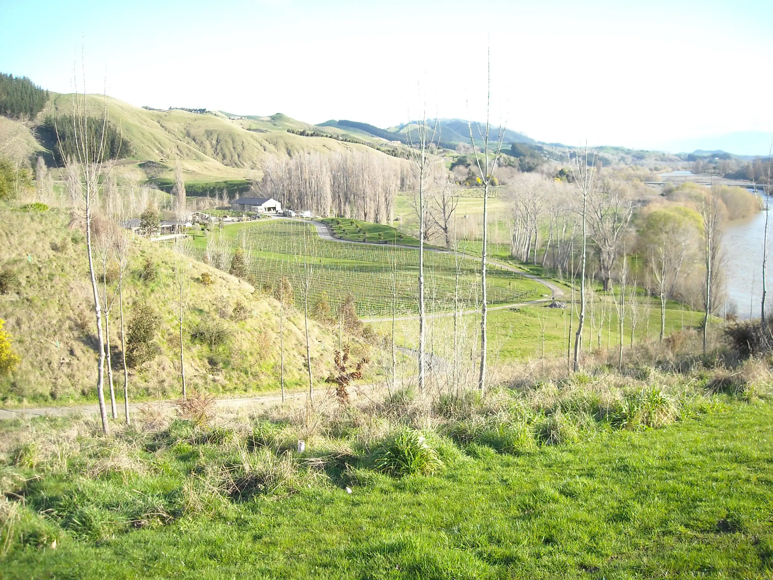 The River Lodges - Tuki Tuki Road